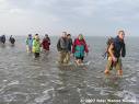 Grote groepen wadlopers vertrokken ...