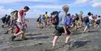 Bij wadlopen ervaar je het wad: ...
